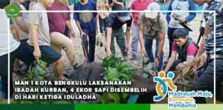 MAN 1 Kota Bengkulu Laksanakan Ibadah Kurban, 4 Ekor Sapi Disembelih di Hari Ketiga Iduladha